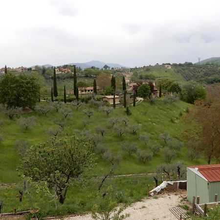 Il Gelsomino Bed & Breakfast Frasso Sabino Екстериор снимка
