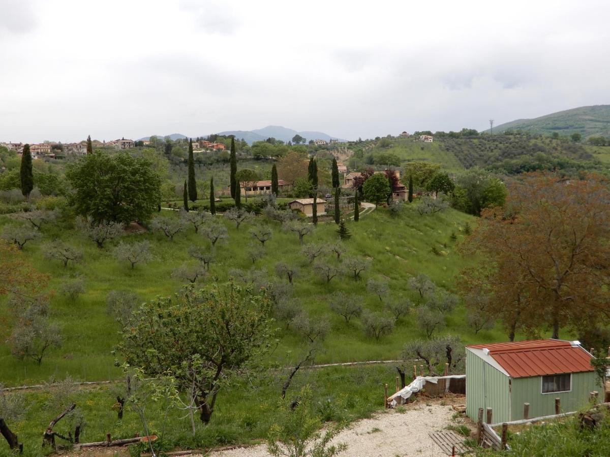 Il Gelsomino Bed & Breakfast Frasso Sabino Екстериор снимка